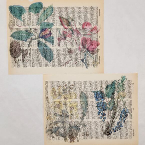 Flower Dictionary Prints 2, Colorful Floral Prints, Book Page Prints - Picture 2 of 6